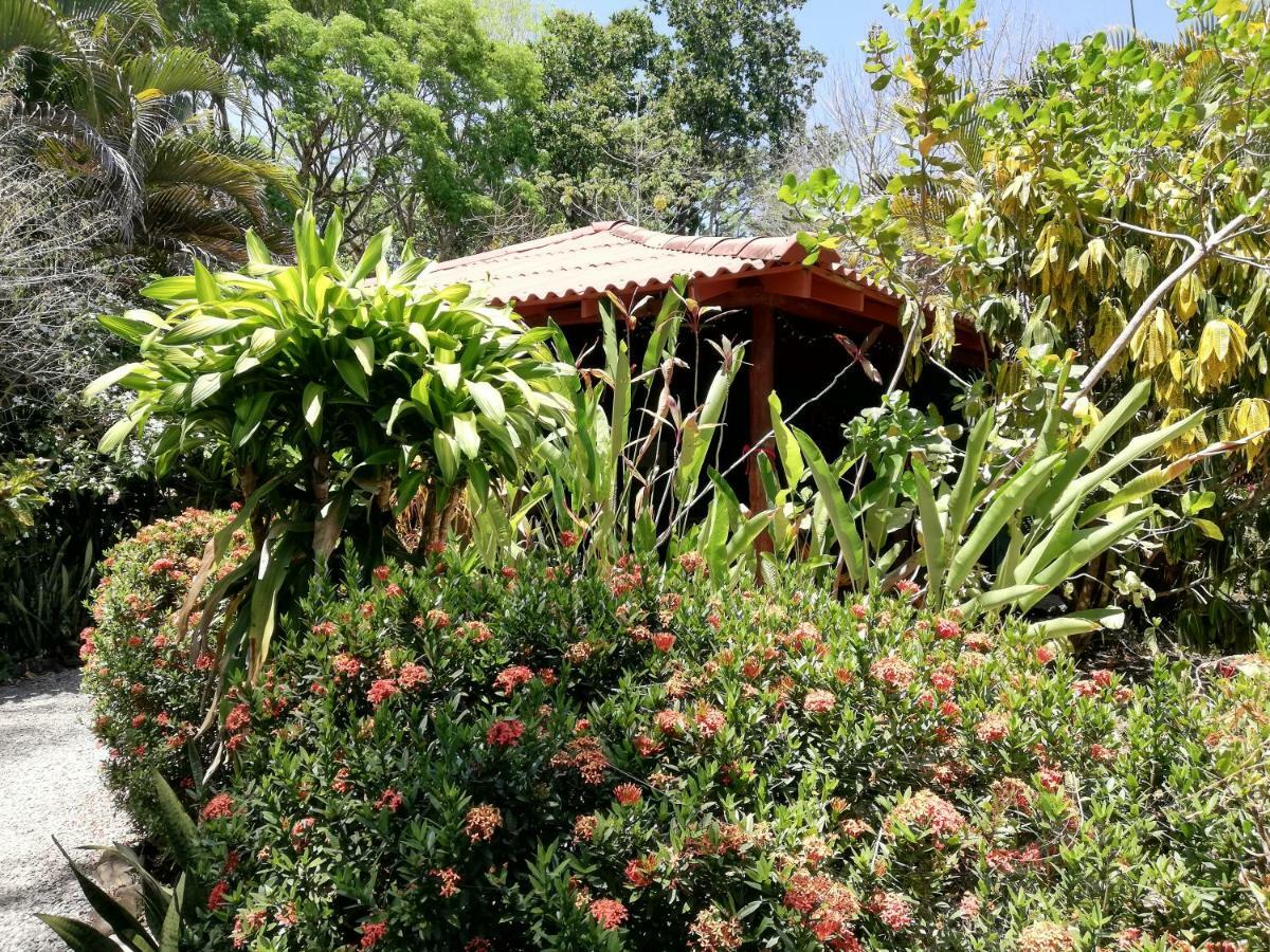 Bed and Breakfast Mundo Goub'Art à Cabuya  Extérieur photo